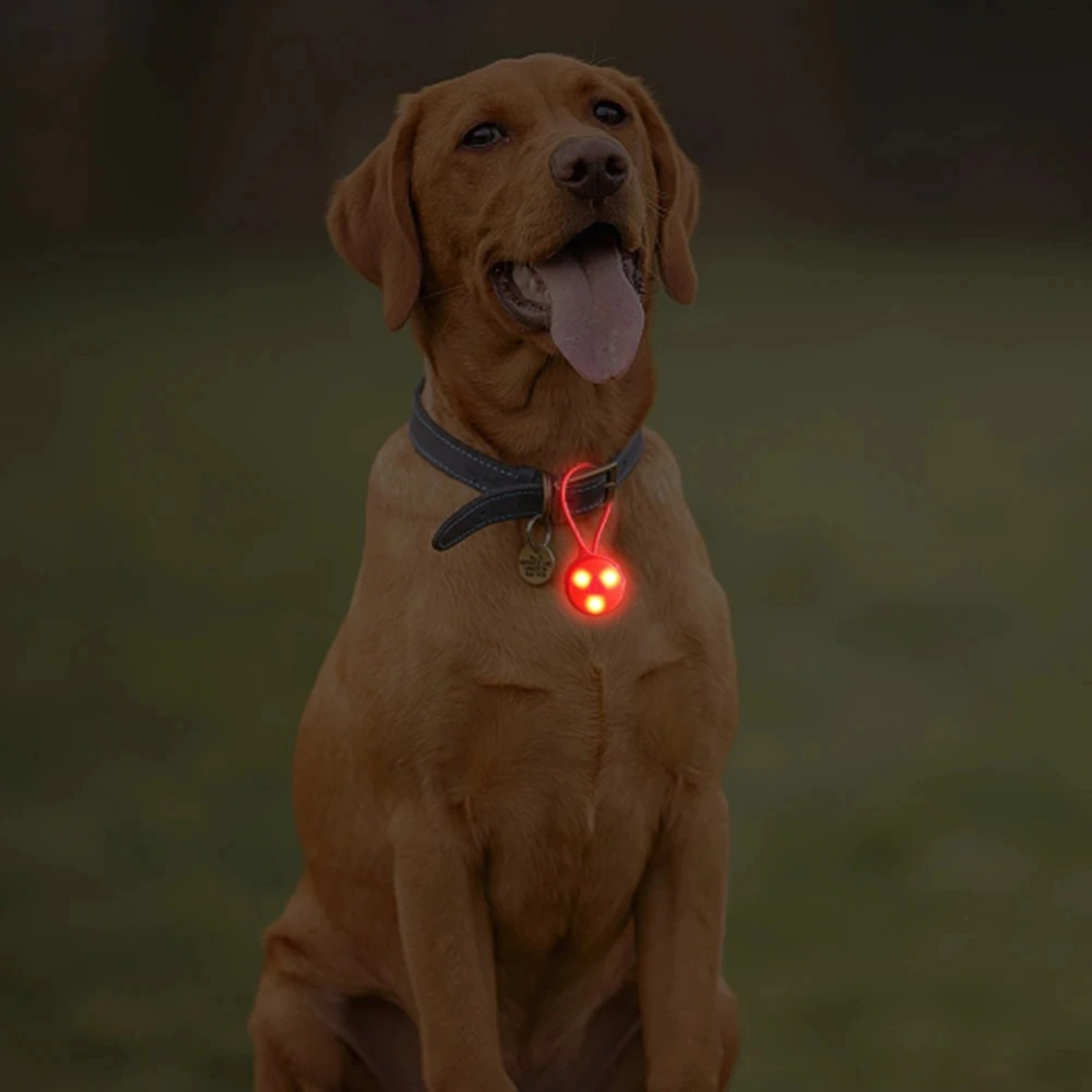 Outdoor Backpack Lights Silico - đánh giá và giá Running Gear Reflective